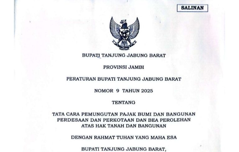 WhatsApp Image 2025-08-04 at 15.47.27